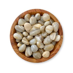 Banded Agate Tumbled Stone | Polished Natural Banded Agate Crystals | Shop Metaphysical Crystals for Root Chakra, Bulk Lots Available
