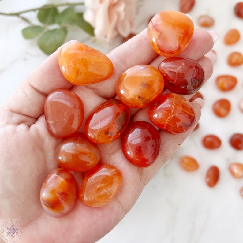Carnelian Tumbled Stones Grade EX Polished Carnelian Crystals Shop Metaphysical Crystals for Sacral and Root Chakra image 5