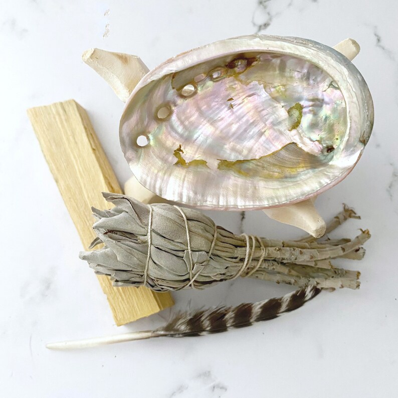 Puede incluir: Una concha de abul&oacute;n blanca con un soporte, un manojo de varitas de salvia blanca, un palo de palo santo de madera y una pluma marr&oacute;n y blanca.