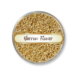 Yarrow Flower | Dried Yarrow Flowers Cut & Sifted | Achillea millefolium, Herbs for Spells, Rituals, Witchcraft, Magic, Crafts, Oils
