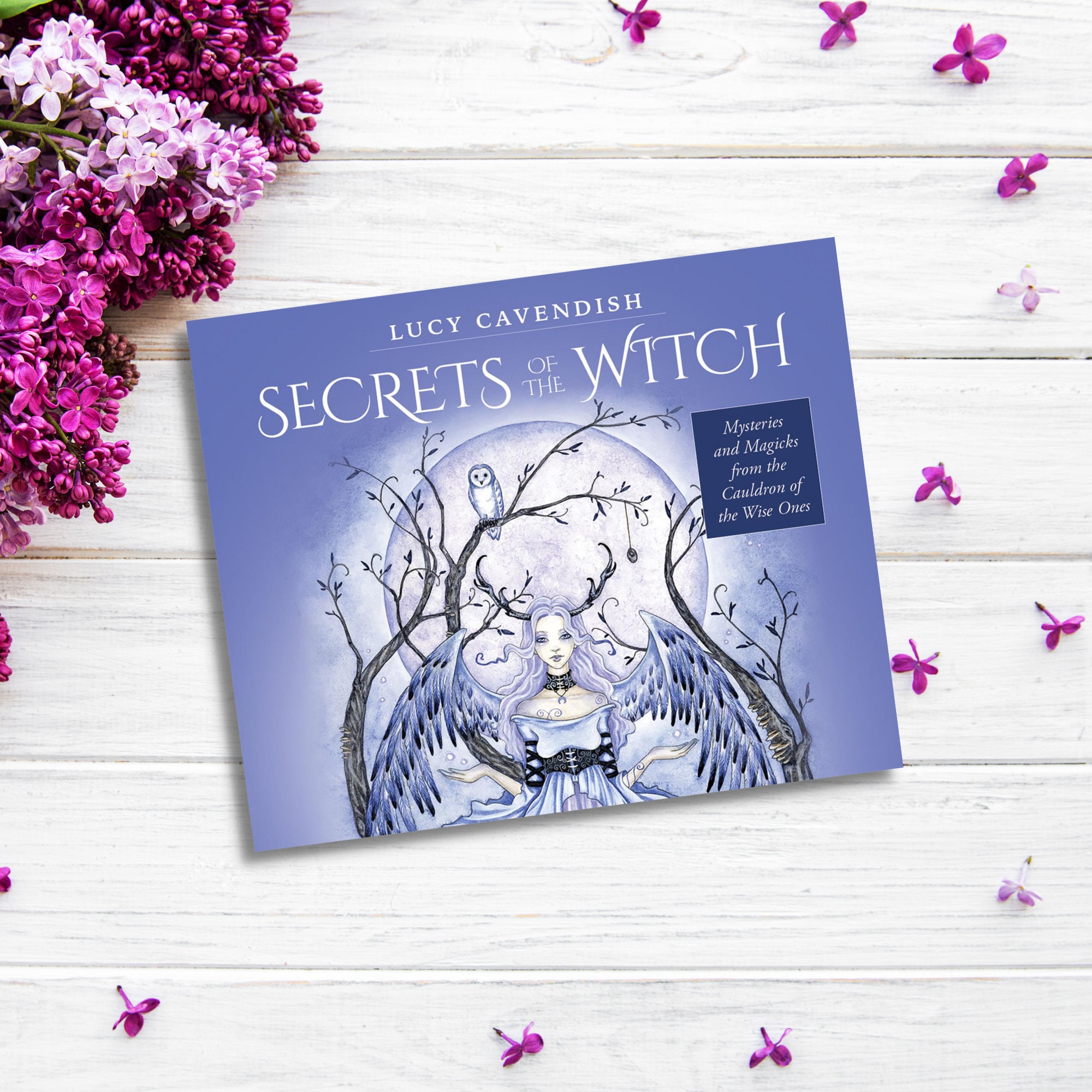 Secrets of the Witch Oracle Cards by Lucy Cavendish - Etsy