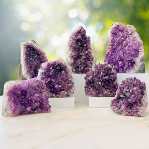 May include: A collection of six amethyst crystal clusters, each with a unique shape and size, displayed on white pedestals. The crystals are a deep purple color and have a natural, rough texture.