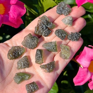 Raw Moldavite Crystal | .1g - 2g Select Your Size | From Czech Republic | Rough Natural Moldavite Stone | Shop Metaphysical Green Crystals