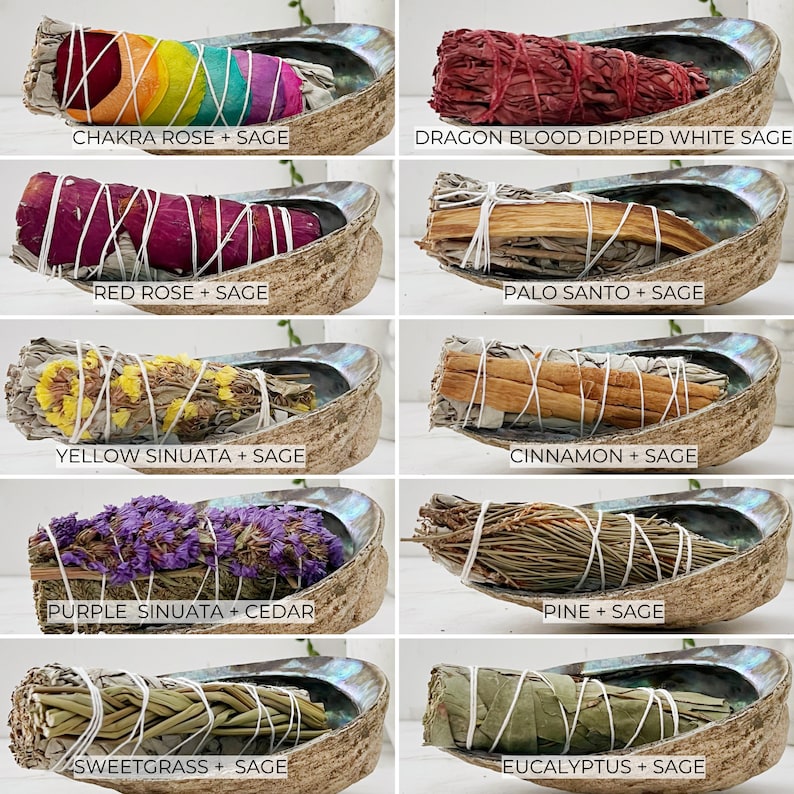 May include: Assortment of sage smudge sticks bundled with various herbs and flowers, including chakra rose, red rose, yellow sinuata, purple sinuata, cedar, pine, sweetgrass, eucalyptus, dragon blood, palo santo, and cinnamon. Each smudge stick is displayed in a natural abalone shell.