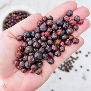 May include: A handful of dark purple juniper berries. The berries are small and round, and they have a slightly wrinkled texture.