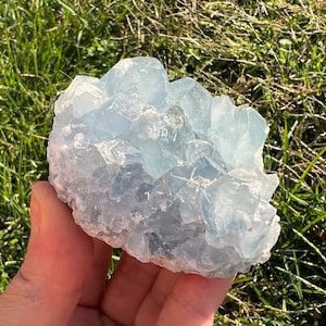 May include: A cluster of light blue celestite crystals with a rough, natural texture. The crystals are clustered together in a random, organic shape.
