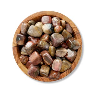 Petrified Wood Tumbled Stones | Polished Petrified Wood Fossil Gemstones | Shop Metaphyscial Crystals, Earth Wisdom, Individual or Bulk