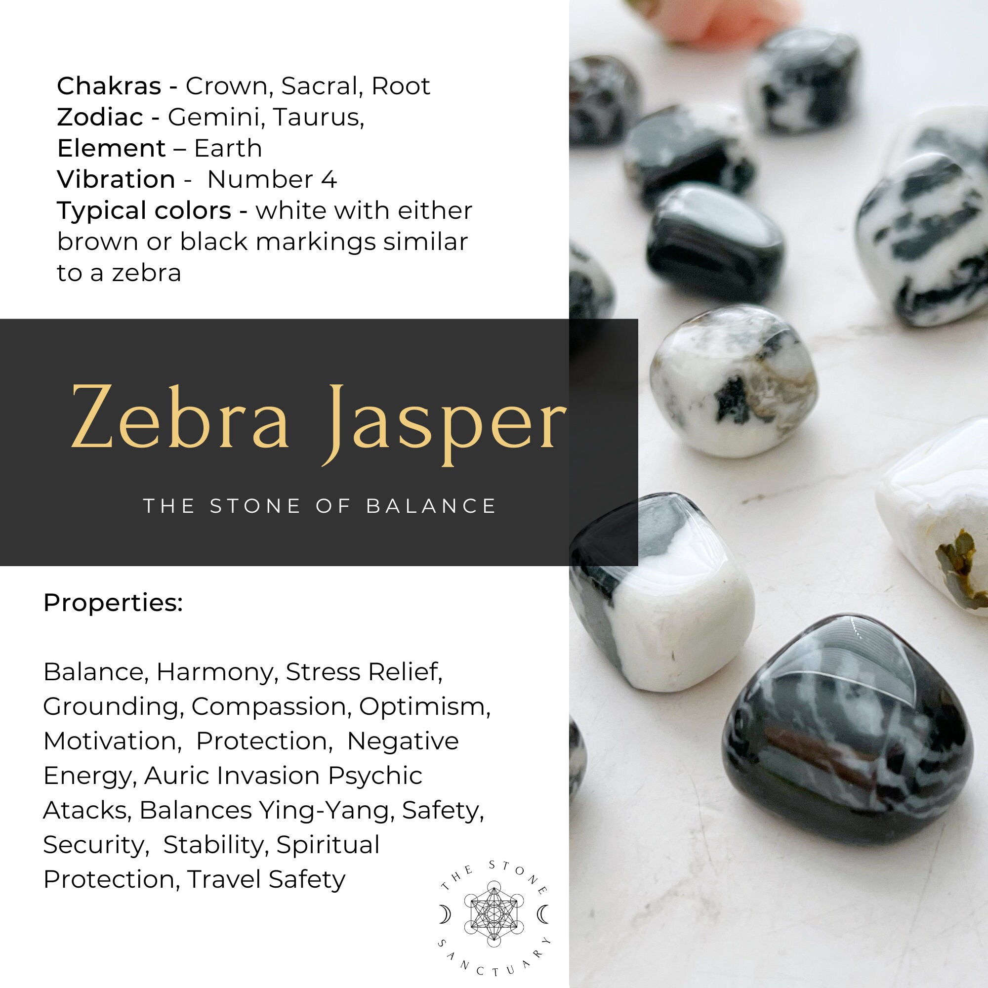 Black And White Zebra Jasper Meaning informacionpublica.svet.gob.gt