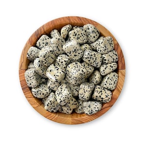 Dalmatian Jasper Tumbled Stones | Polished Tumbled Dalmatian Crystal Gemstones | Shop Metaphysical Crystals and Stones, Individual or Bulk