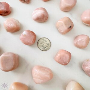 May include: Pink opal tumbled stones, varying in size, are scattered across a white surface. A U.S. quarter coin is included for size reference. The stones have a smooth, polished appearance and range in shades from light to medium pink.