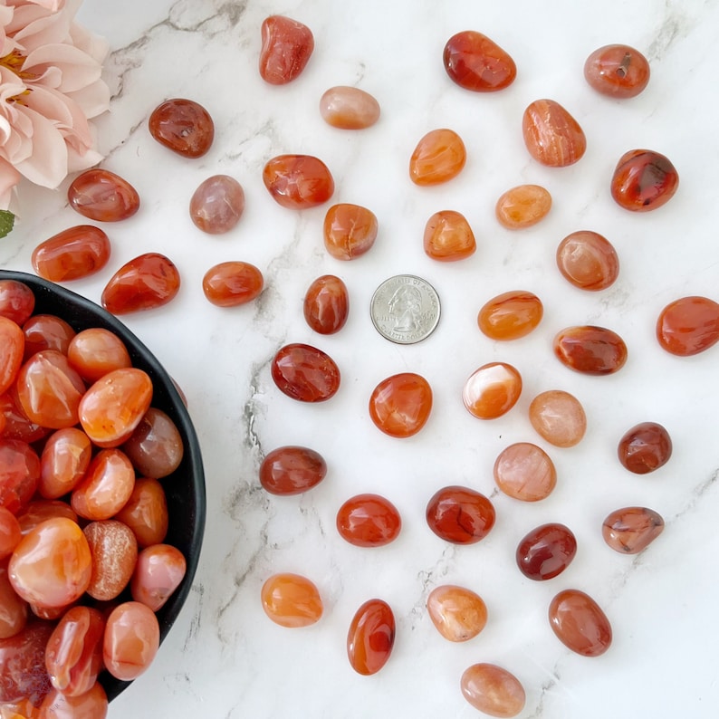 Carnelian Tumbled Stones Grade EX Polished Carnelian Crystals Shop Metaphysical Crystals for Sacral and Root Chakra image 3