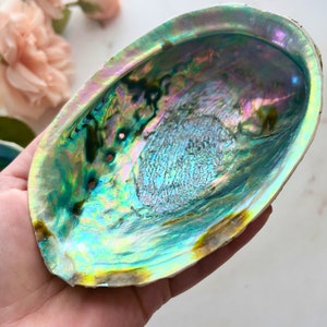 Large Abalone Shells | 5-6" Abalone Shell Holder for Art, Crafts, Crystals, Jewelry, Incense, Smudge Sticks, Beach Ocean Summer Home Decor