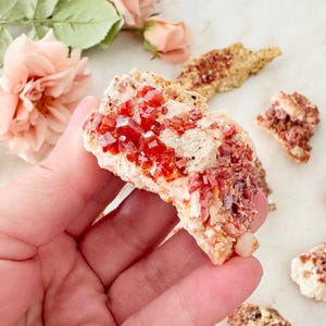 Vanadinite Crystal Cluster on Matrix | Rough Natural Vanadinite from Morocco | Raw Red Vanadinite Specimen | Mineral Collectible Gift