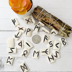 May include: A collection of off-white rune stones with black markings, arranged on a white wooden surface. A bundle of dried sage and a small succulent plant in a white pot are also present. A US quarter is included for size reference.