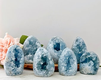 May include: A collection of seven blue celestite crystal geodes, each with a unique shape and size. The geodes are arranged on a wooden surface and have a natural, earthy look.