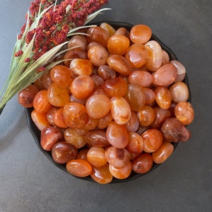 Carnelian Tumbled Stones Grade EX Polished Carnelian Crystals Shop Metaphysical Crystals for Sacral and Root Chakra image 9