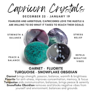 Capricorn Crystals Capricorn Crystal Kit Crystals for - Etsy