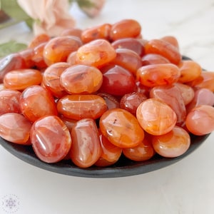 Carnelian Tumbled Stones Grade EX Polished Carnelian Crystals Shop Metaphysical Crystals for Sacral and Root Chakra image 2