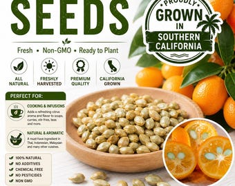 Dwarf Kumquat Tree - 12 Seeds 2026 - Home Grown from Southern California