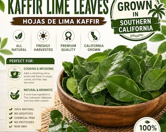 Fresh Kaffir Lime Leaves (home grown) in Southern California, no pesticide, no chemical non GMO