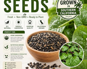 Green Malabar Spinach Seeds | 20 Seeds | Southern California Grown | Non-GMO | Naturally Grown | Easy-to-Grow Tropical Green
