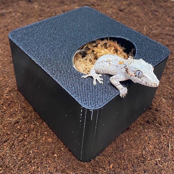 Humid Hide, Nest Box, Lay Box, Egg Box, Dig Box for Geckos, Reptiles