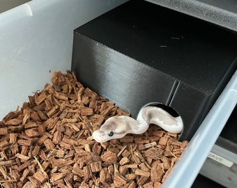 Snake/Reptile hide for 11-quart breeding tub