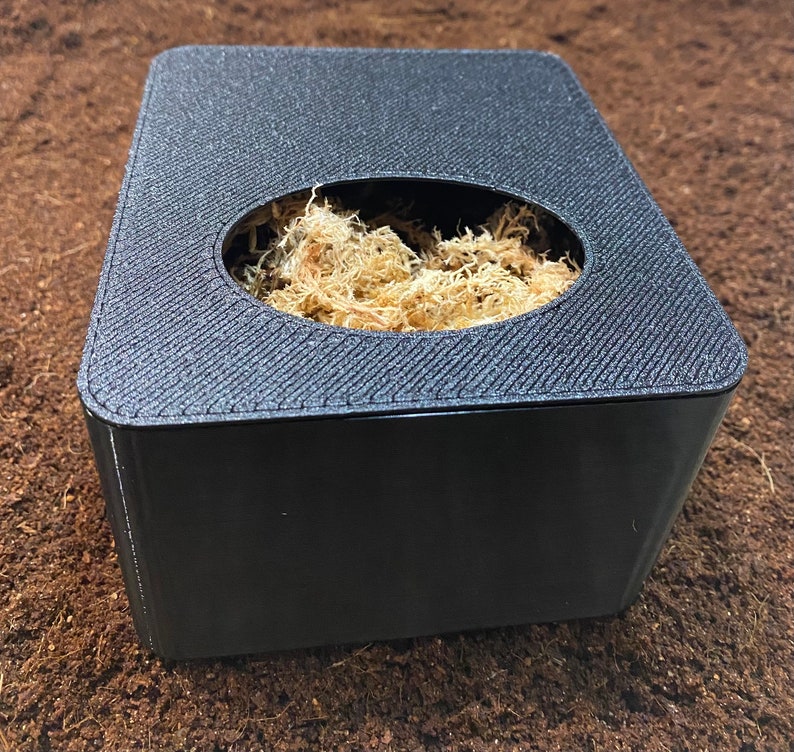 Humid Hide, Nest Box, Lay Box, Egg Box, Dig Box for Geckos, Reptiles - Etsy