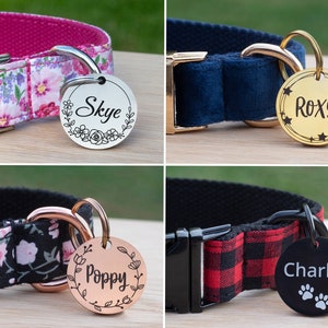 Four round stainless steel pet id tags are shown attached to collars. Each tag is a different colour and features a different design on the front. A silver tag with floral design, a gold tag with star design, a rose gold tag and a black tag with paws