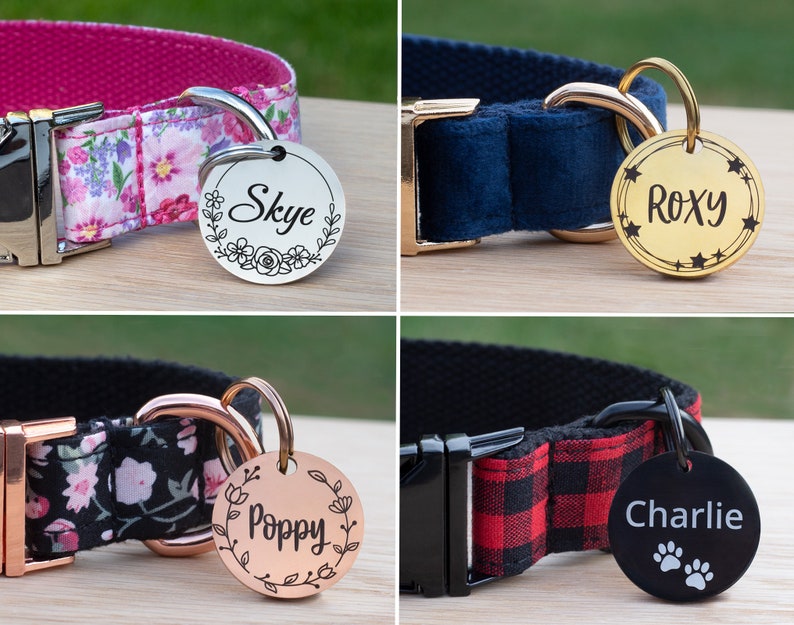 Four round stainless steel pet id tags are shown attached to collars. Each tag is a different colour and features a different design on the front. A silver tag with floral design, a gold tag with star design, a rose gold tag and a black tag with paws