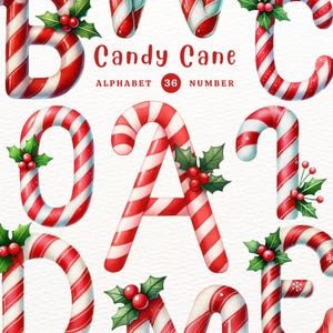 May include: Candy Cane Alphabet and Number set. Red and white striped candy cane letters B, O, A, D, and E with green holly leaves and red berries.