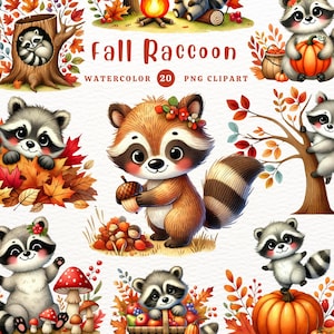 Clipart de mapache de otoño, lindo mapache PNG, temporada de otoño, tema otoñal, regalo DIY, clipart de acuarela, clipart para niños, clipart lindo