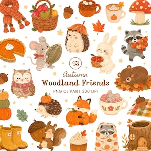 May include: A collection of autumn-themed illustrations featuring woodland animals like a fox, raccoon, hedgehog, and owl, alongside seasonal items including pumpkins, a basket of apples, a scarf, mugs, and acorns with the text 43 Autumn Woodland Friends.