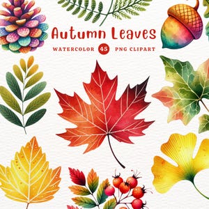 Imágenes prediseñadas de hojas de otoño, PNG de otoño, imágenes prediseñadas de hojas, hermoso tema de otoño, regalo DIY, imágenes prediseñadas de acuarela, imágenes prediseñadas para niños, imágenes prediseñadas lindas
