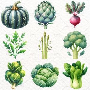 Watercolor Vegetable Clipart: 50 PNG Healthy Food Graphics (digital ...