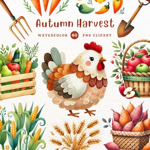 Clipart de cosecha de otoño, PNG de cosecha, granja de otoño, planta de otoño, tema de otoño, regalo DIY, clipart de acuarela, clipart para niños, clipart lindo