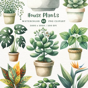 Plantas de interior, Plantas en macetas, Plantas verdes, Imágenes prediseñadas de plantas, Plantas PNG, Regalo para mamá, Imágenes prediseñadas de acuarela, Imágenes prediseñadas PNG, Imágenes prediseñadas transparentes