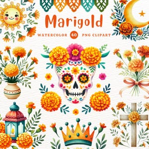Ringelblume Clipart, Ringelblume, Tag der Toten, Halloween Thema, DIY Geschenk, Aquarell Clipart, Clipart für Freunde, Cute Clipart