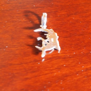 Silver Fairy on a Moon Pendant