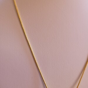 Seashell Necklace