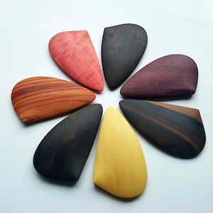 S H E L L  bowl ribs - kleine muschelförmige Bauchschienen