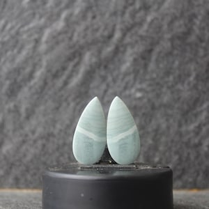 Puede incluir: Dos cabujones de ágata verde y blanca pulida en forma de lágrima. Las piedras están colocadas sobre una base circular negra.