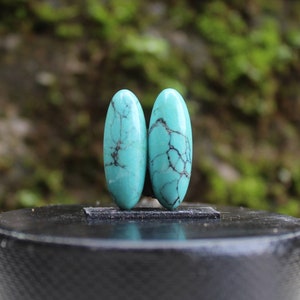 Natural turquoise Nevada pair