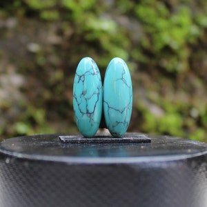 Natural turquoise Nevada pair