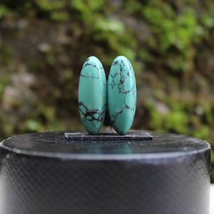 Natural turquoise Nevada pair