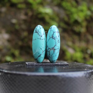Natural turquoise Nevada pair