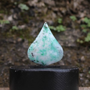 Opalized wood cabochon