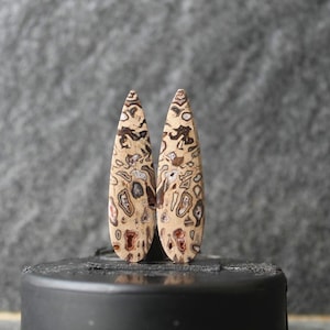 petrified wood pair