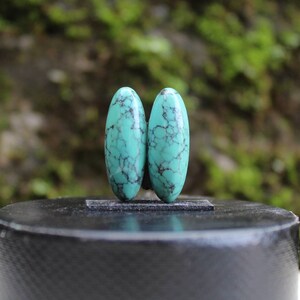 Natural turquoise Nevada pair