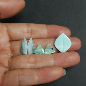 Opalized Wood pair